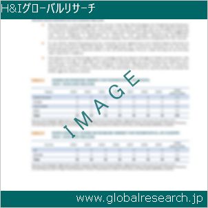 グローバルリサーチ調査レポートのイメージ